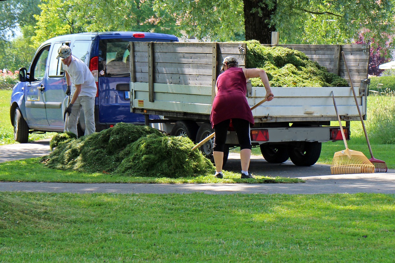 Landscape Gardening: From Concept to Reality